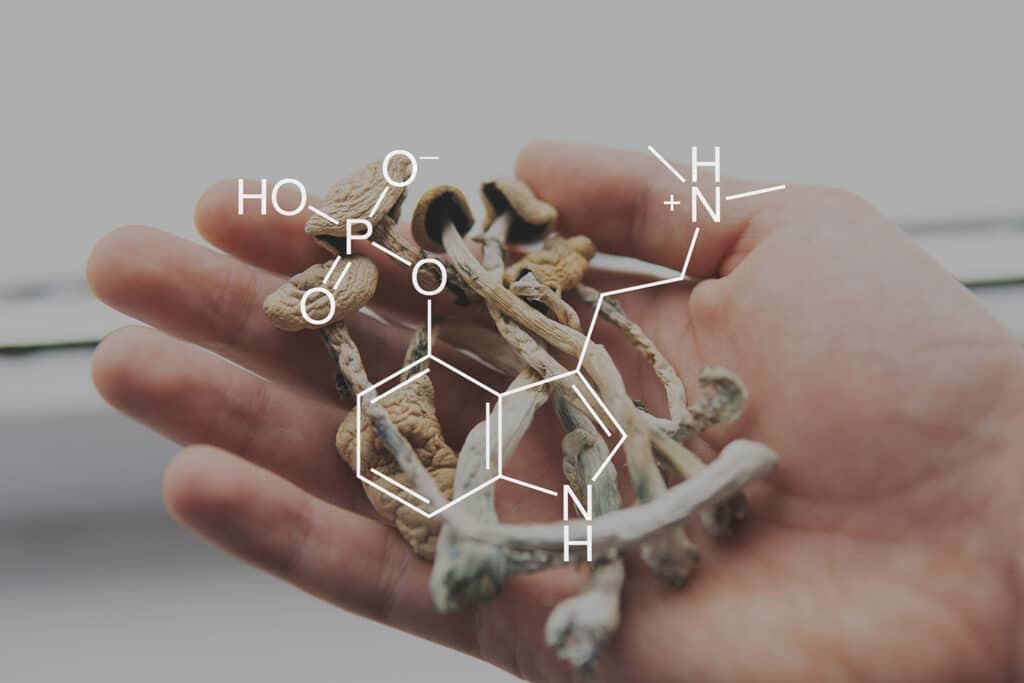 Psilocybin mushrooms