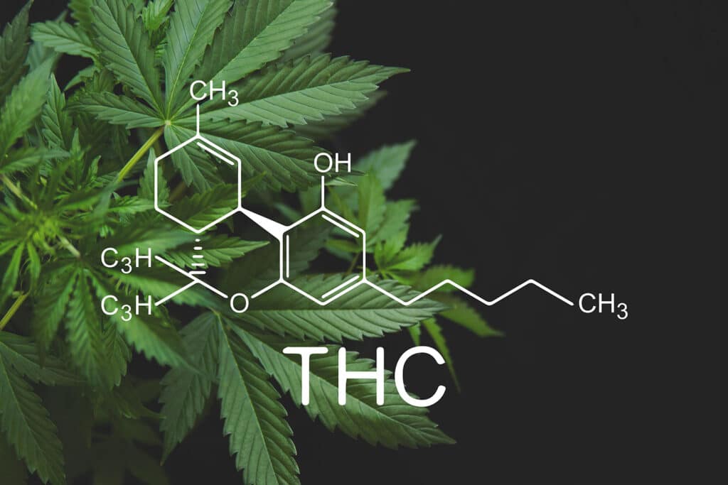 THC-O Effects
